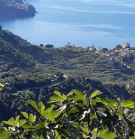Residenza Solferino Apartment Corniglia Exterior photo