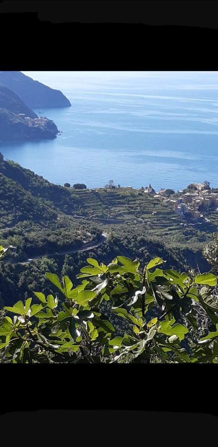 Apartment Residenza Solferino Corniglia